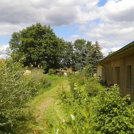 Holiday home Ferienhauslychen Lychen
