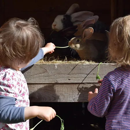 Casa vacanze Ferienhauslychen *